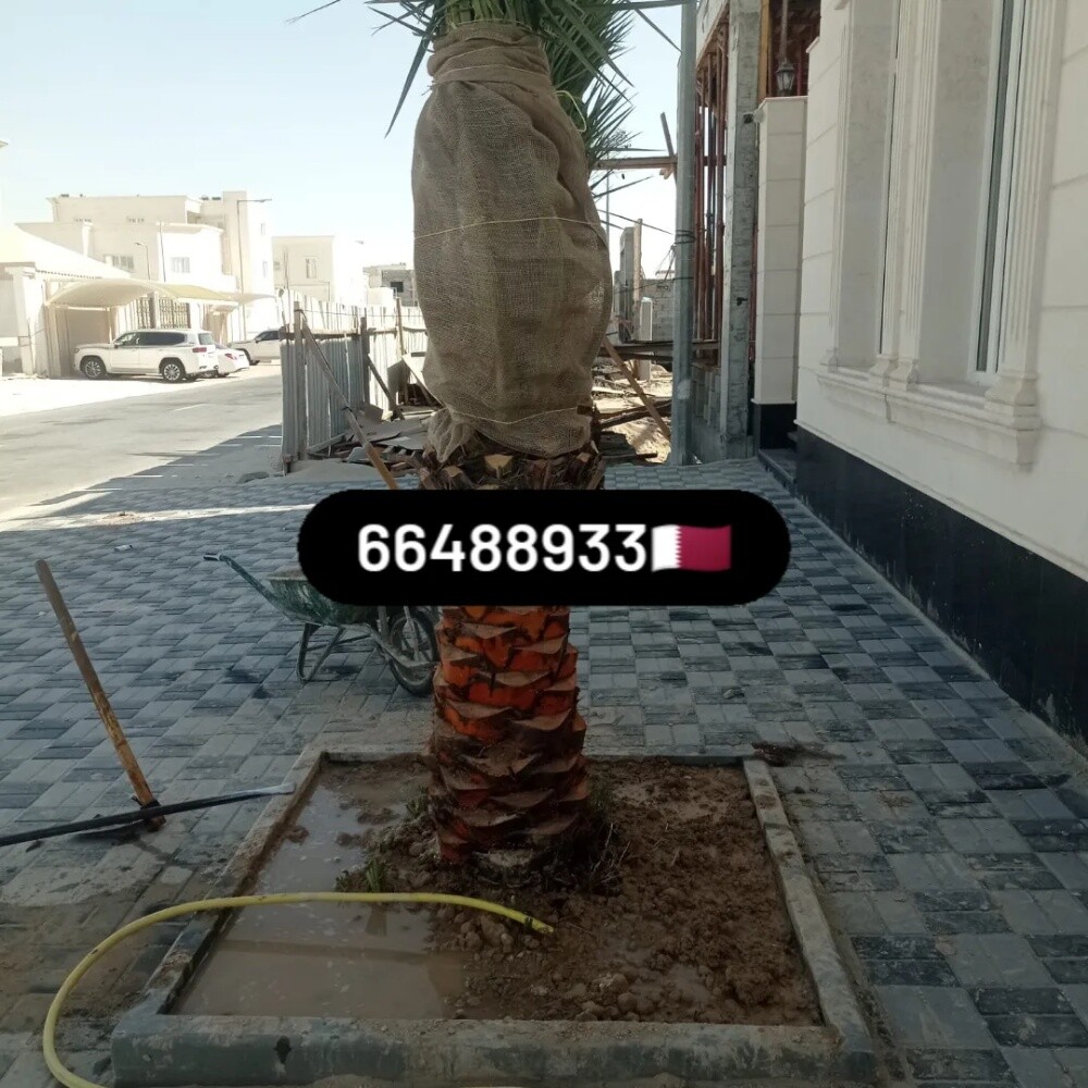 Arish gardening & agriculture - 13