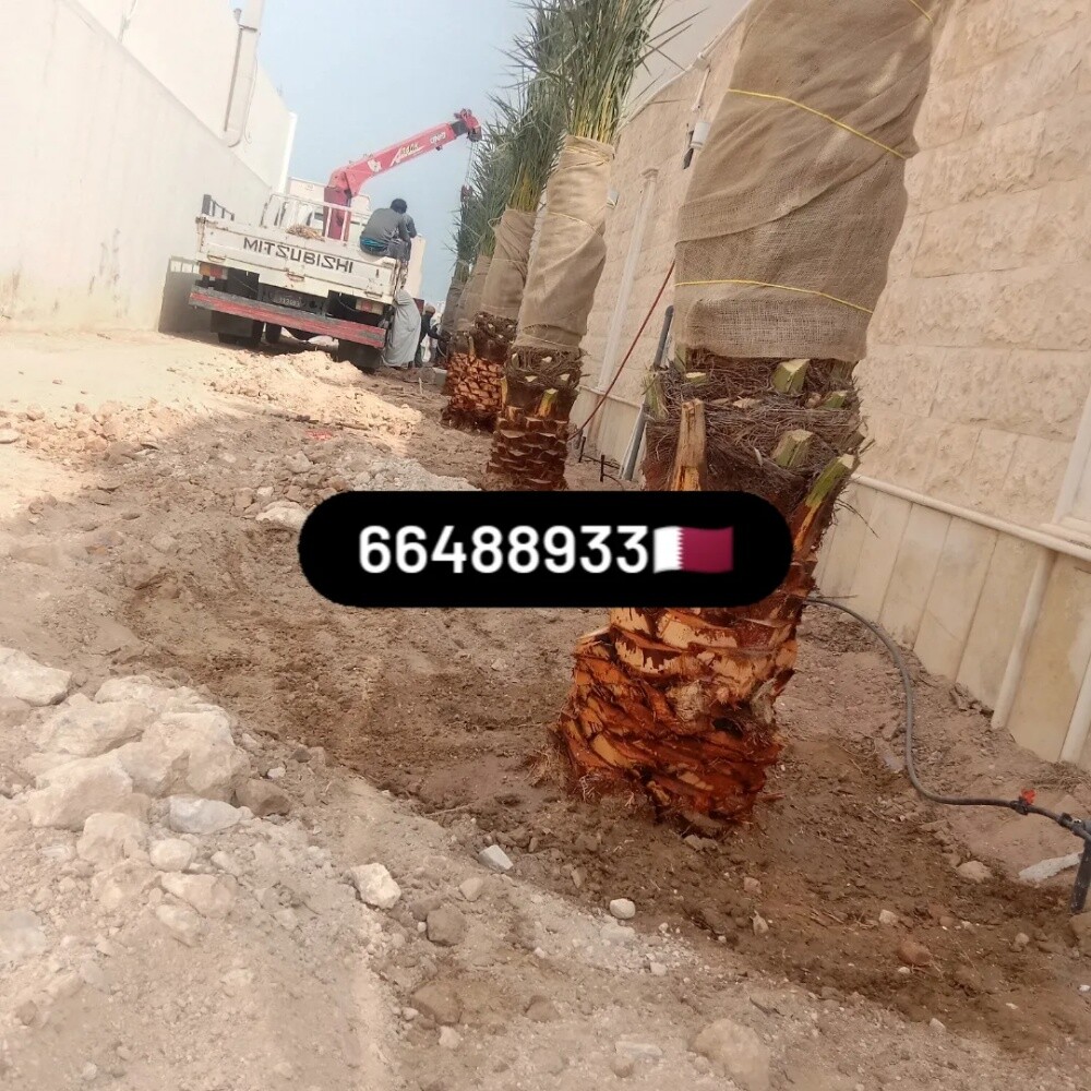 Arish gardening & agriculture - 11