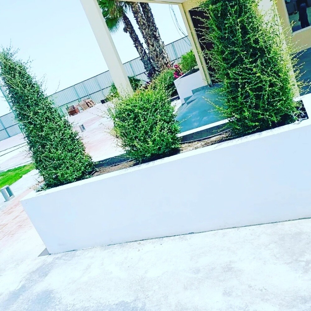 Arish gardening & agriculture - 7
