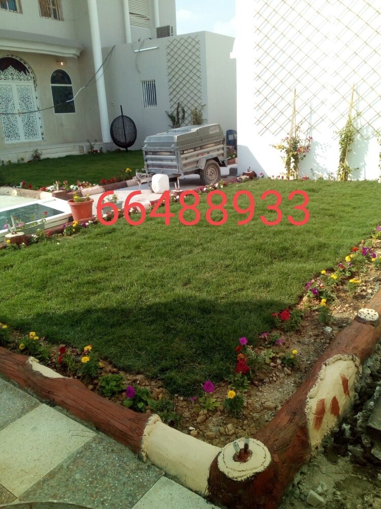 Arish gardening & agriculture - 10