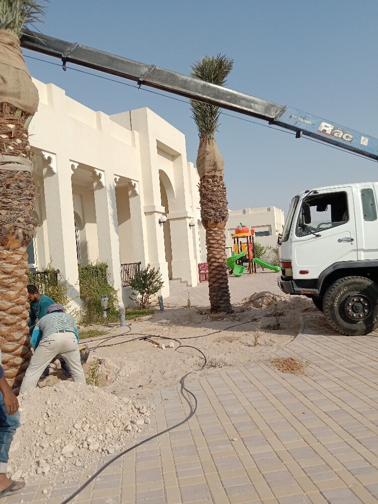 Arish gardening & agriculture - 18