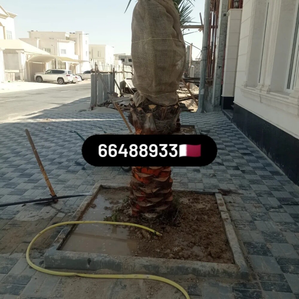 Arish gardening & agriculture - 14