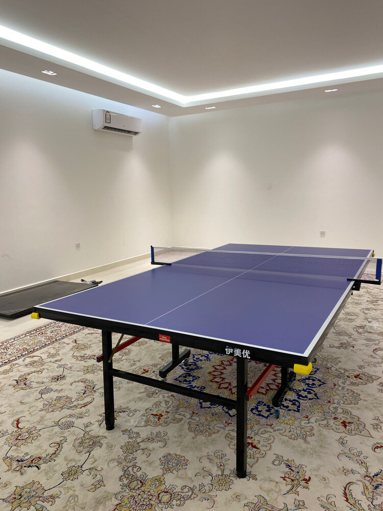 Tennis Table - 1