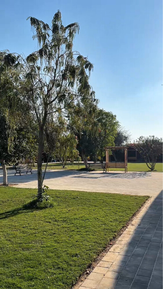عزبه للبيع  - 4