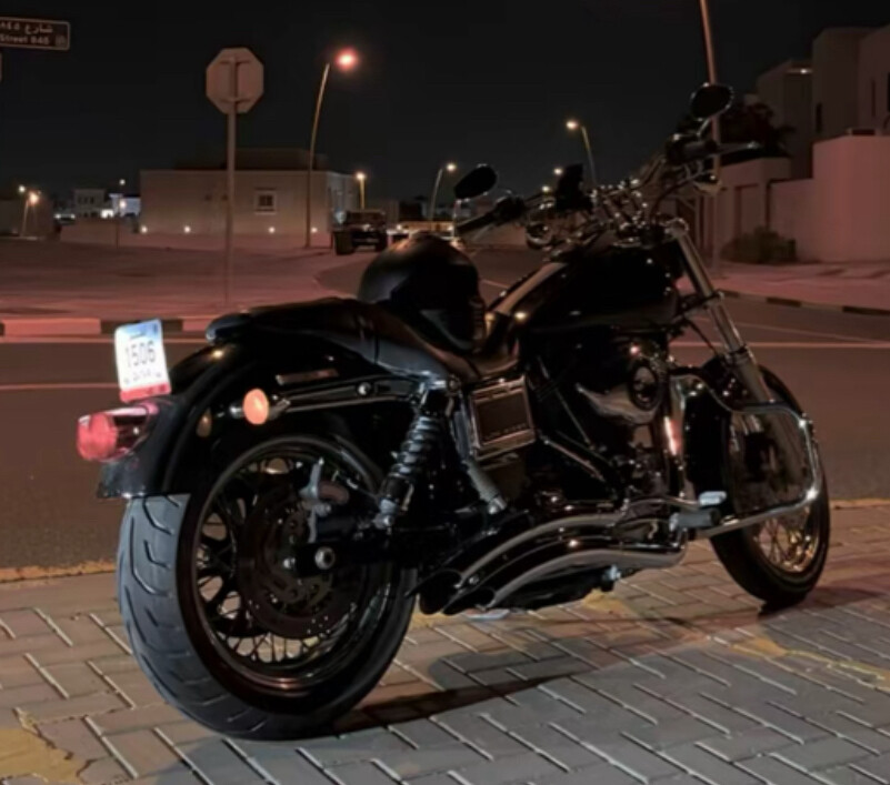 Dayna low rider - 1