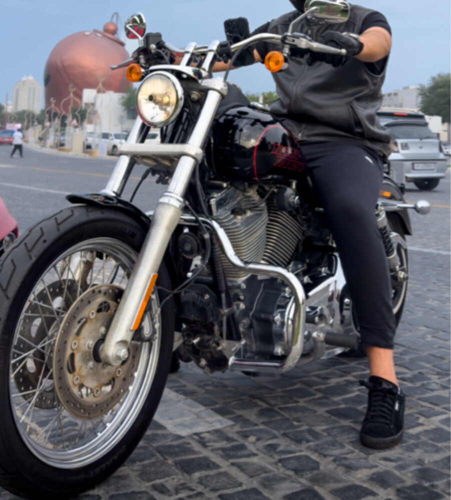 Dayna low rider - 3