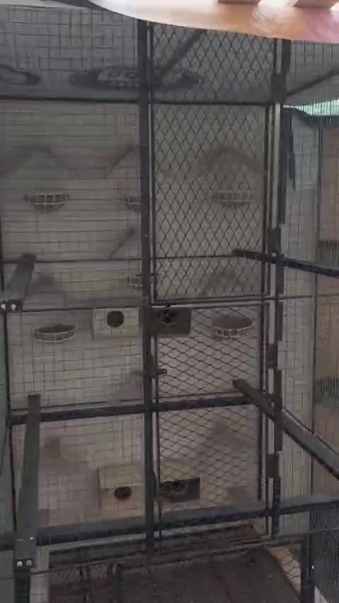 قفص متنقل جميع الطيور - 5
