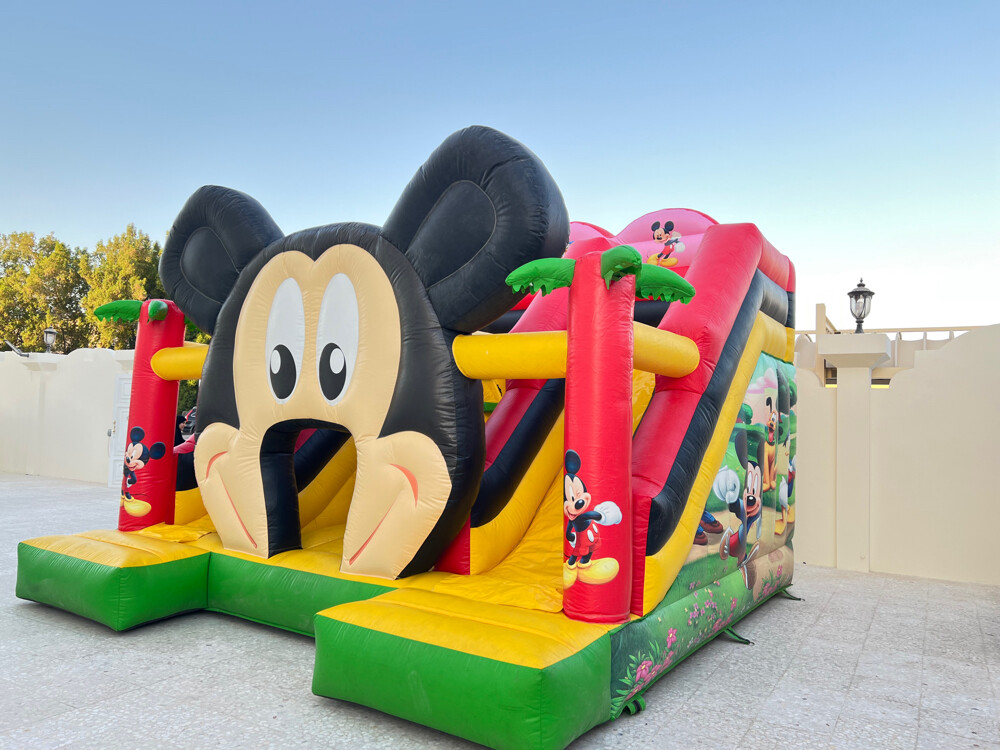 Jumping and slides for rent - 5
