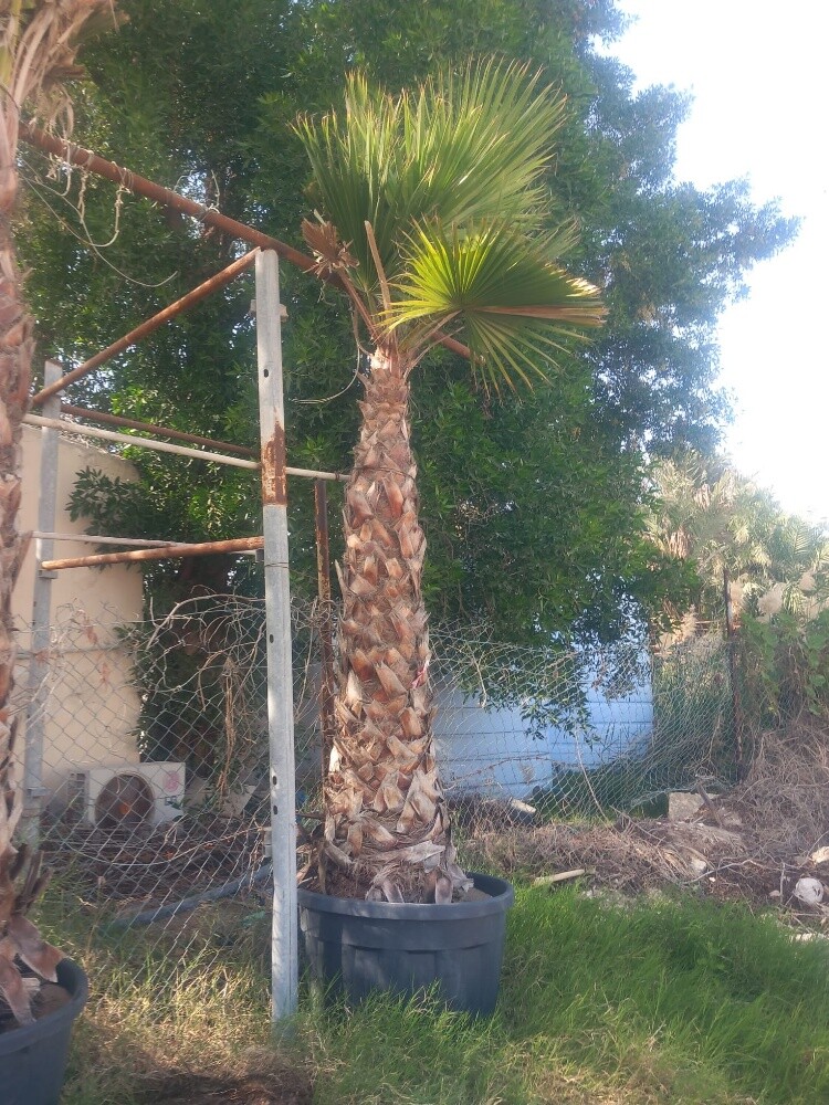 مزارع - 1