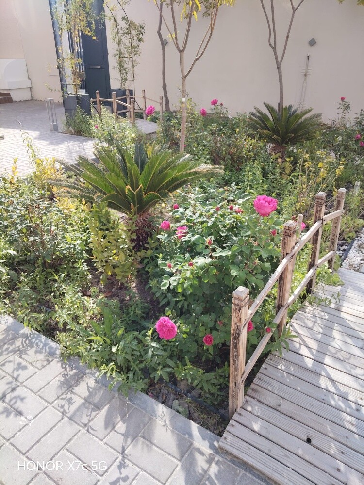 مزارع - 2