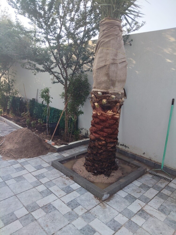 مزارع - 7