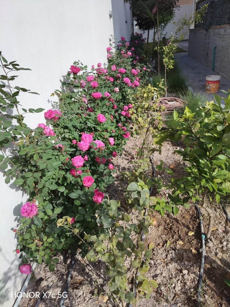 مزارع - 5