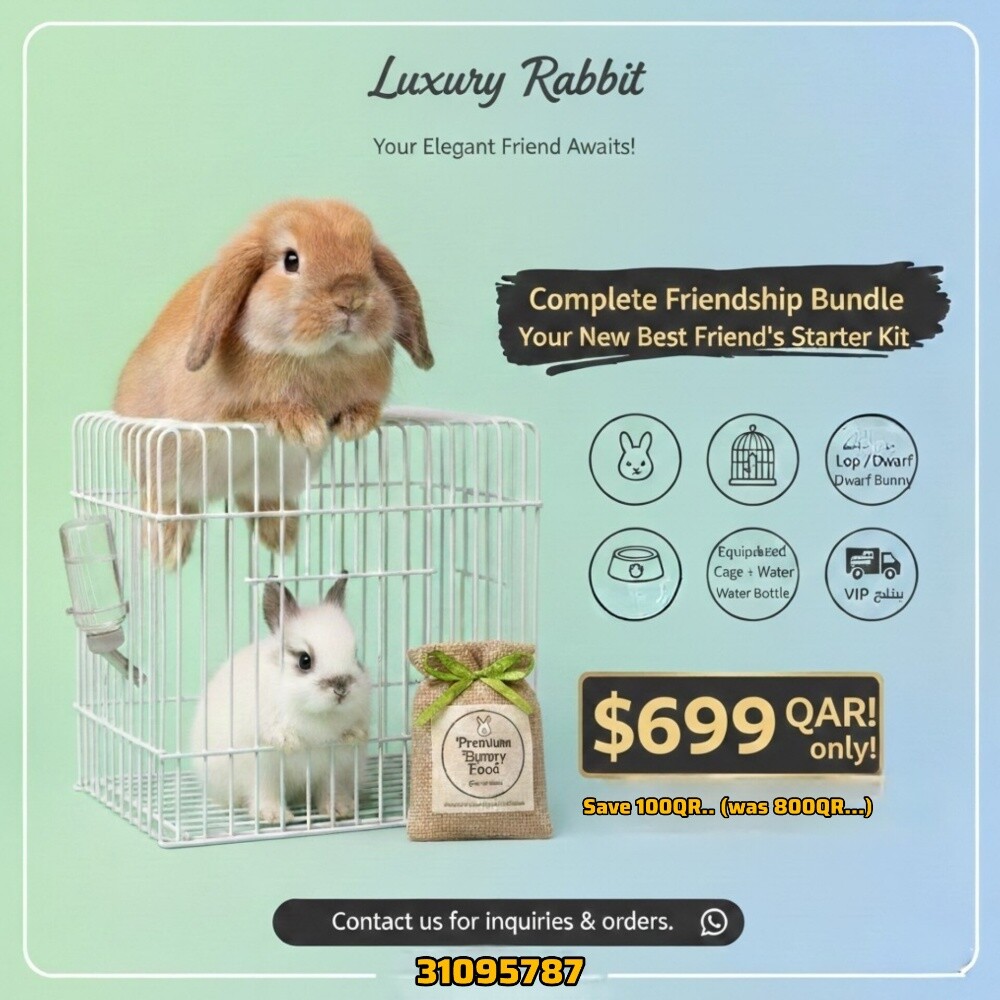 The luxury rabbits - 1