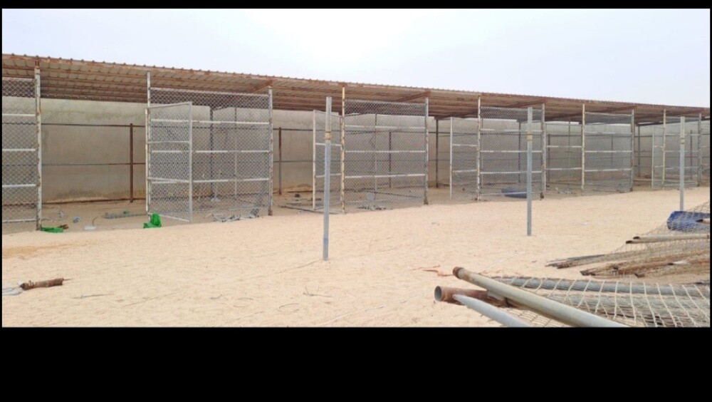 عريش - 3