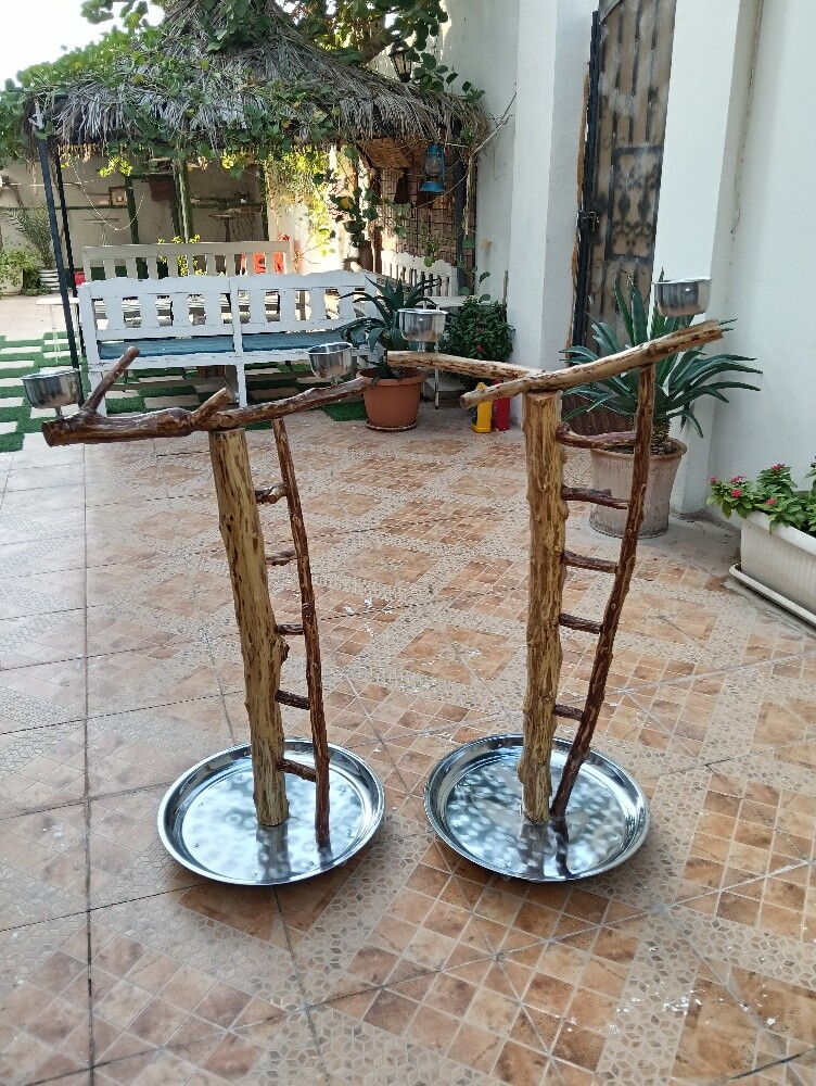 البيع - 8
