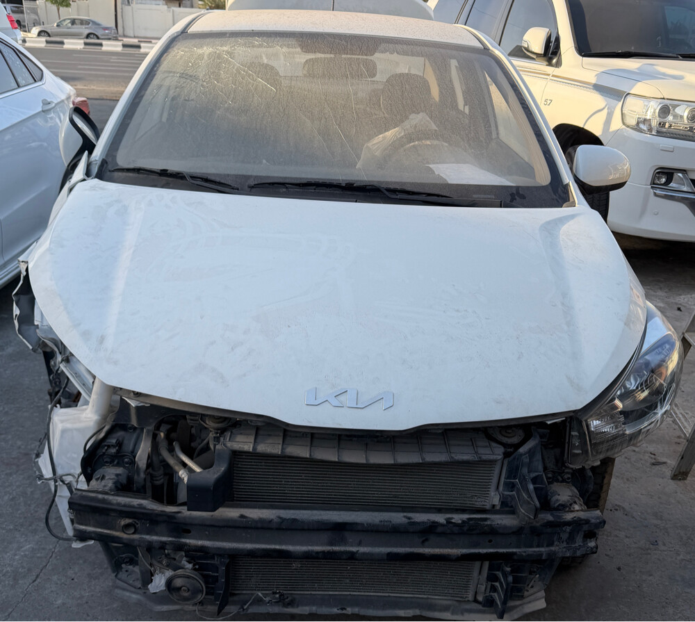 Kia Pegas Scrap - 1