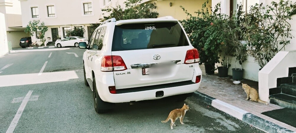 GXR V8 Land cruiser 2010 - 2