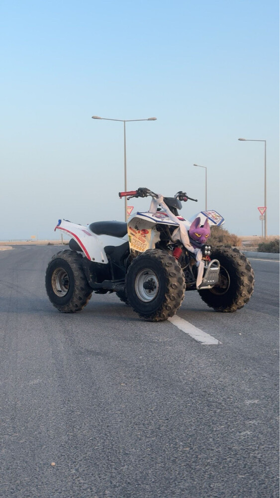 للبيع - 2