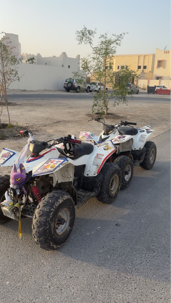 للبيع - 4