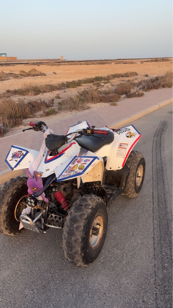 للبيع - 5