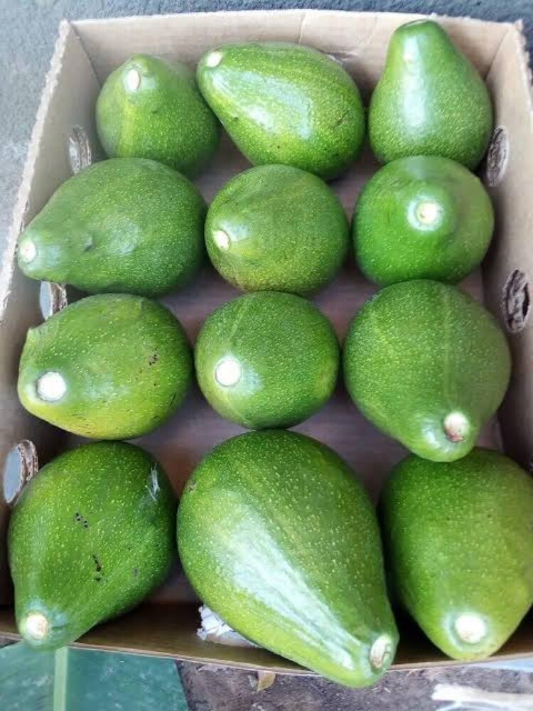 African food produce - 9