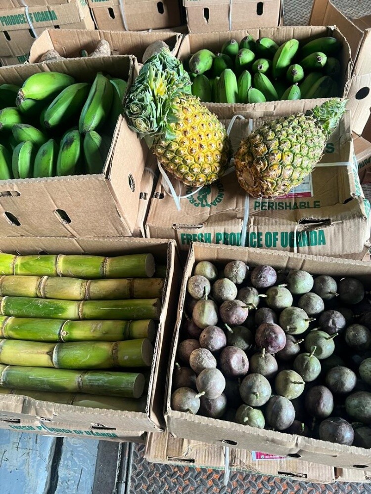 African food produce - 7