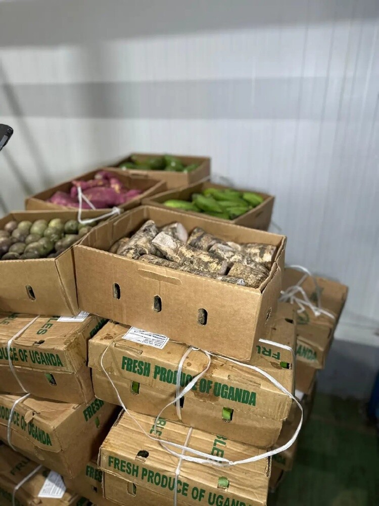 African food produce - 4