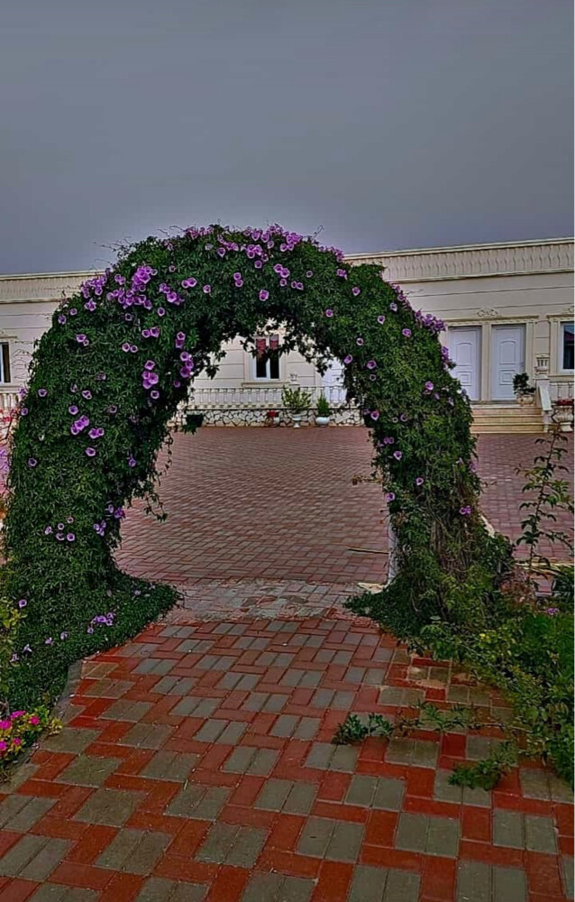 الحدائق - 1