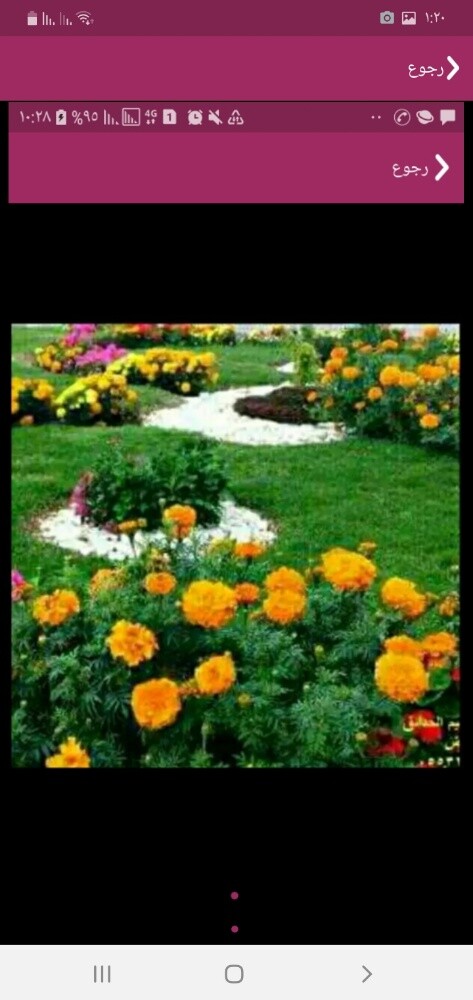 مزراع ومنسق حدائق - 29