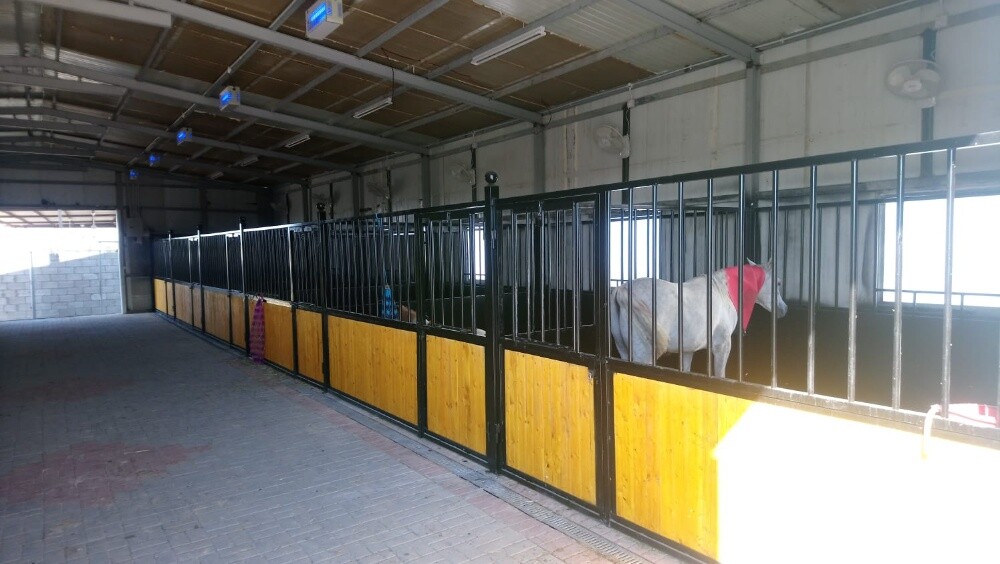 اسطبلات خيول - 8