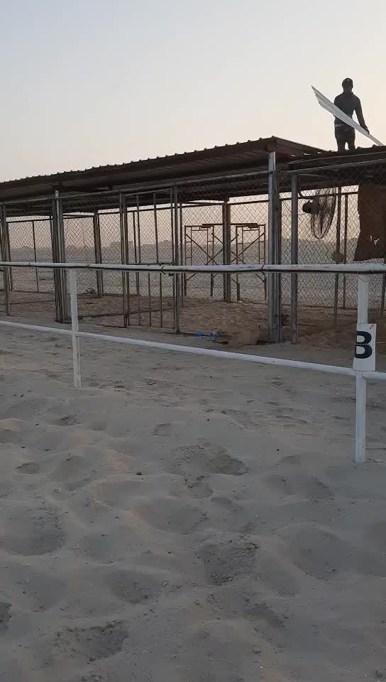 صبره مال حسن - 1