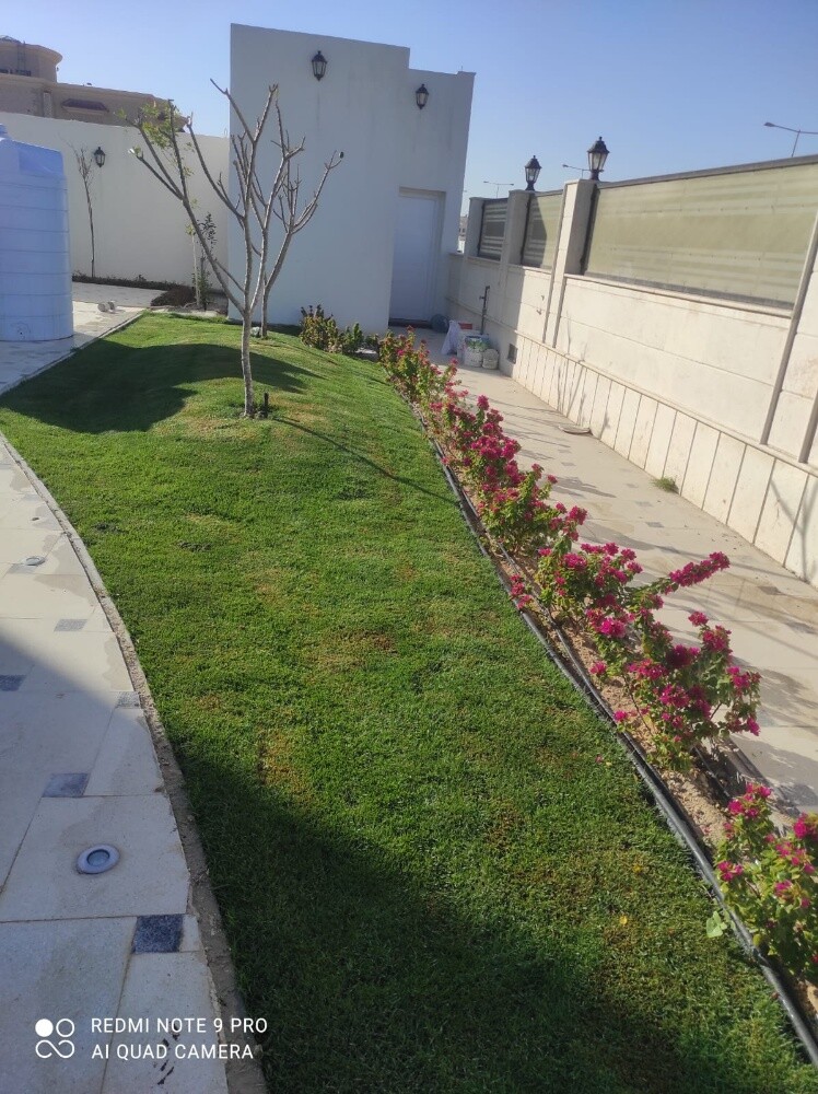 ترتيبات الزراعه - 9