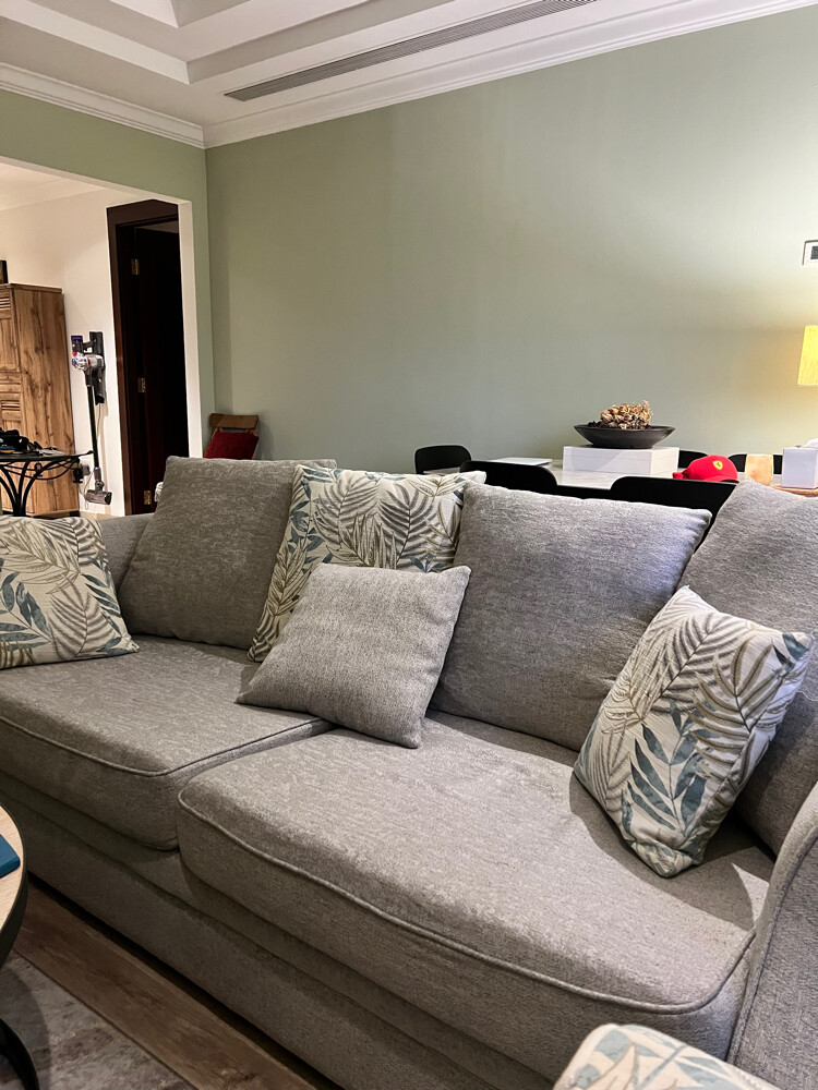 living room sofa + coffee table - 6
