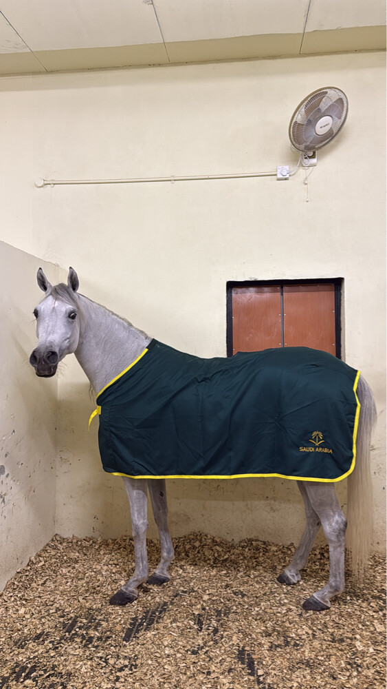 ايواء الخيل - 3