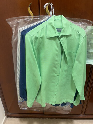 mahrajas blouse - 1