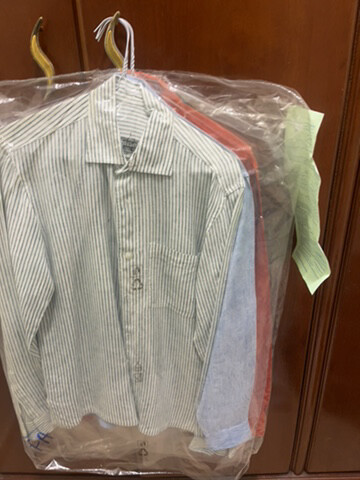 mahrajas blouse - 4