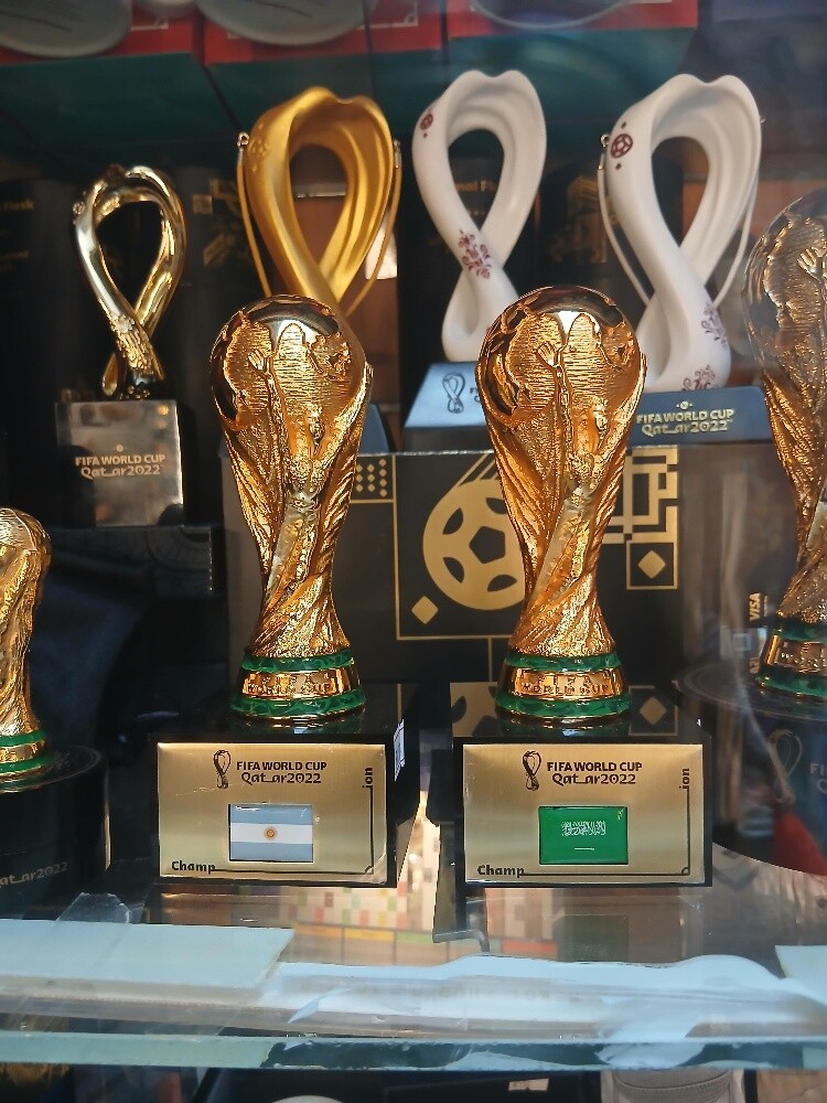 كأس عالم مقاس 16 مع أعلام - 1