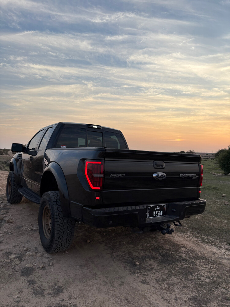 Ford Raptor SVT — photo 6 for sale in Qatar