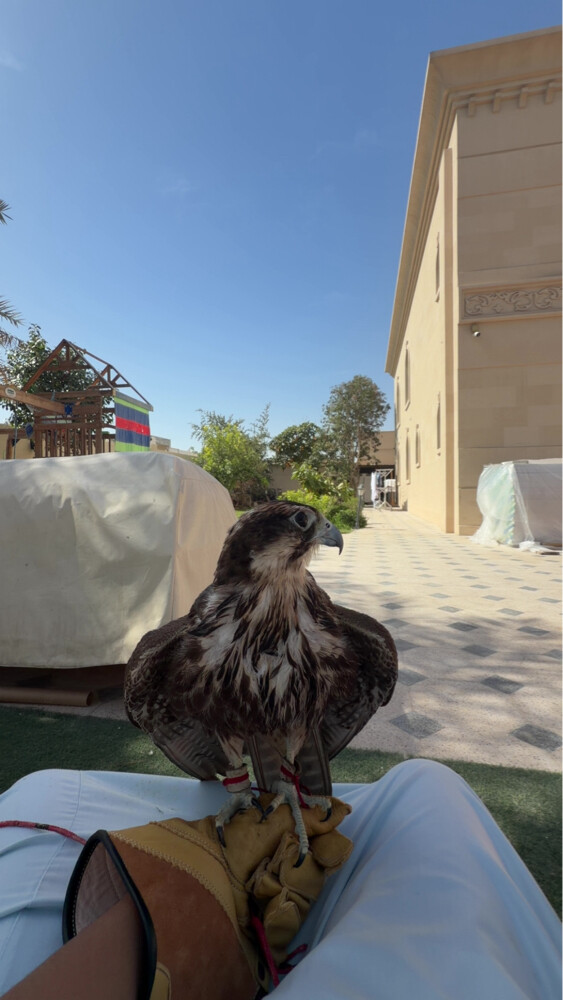 للبيع - 3