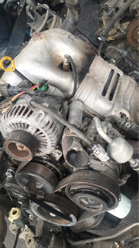 Indian Sunny Scrap - 2