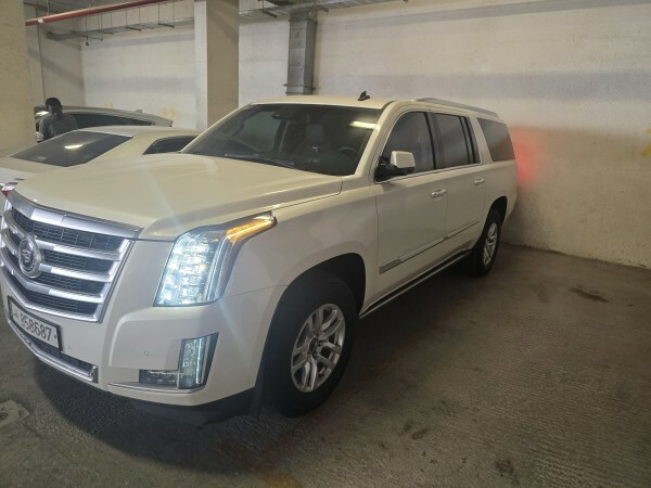 Cadillac Escalade 2015 Platinum — photo 9 for sale in Qatar