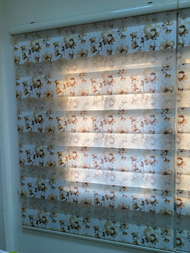 5 zebra blind, day and night - 1