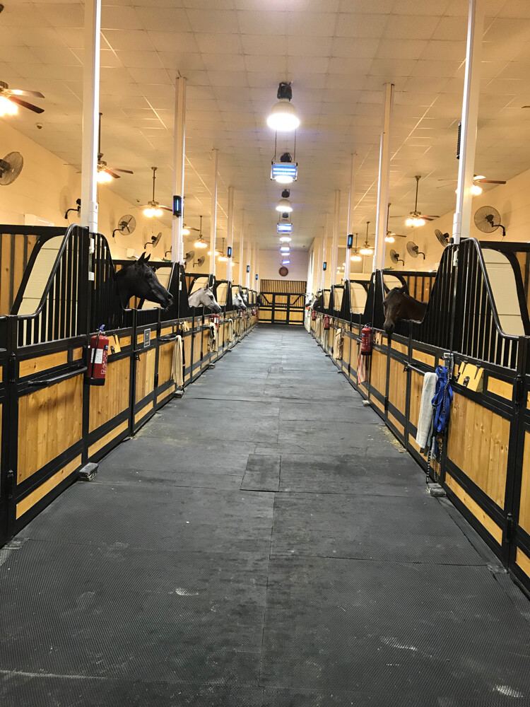 مربط لايواء الخيل - 1