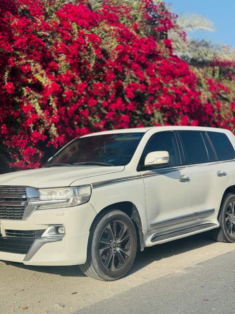 VIP LIMOUSINE SERVICE - 1