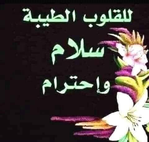 بحث عن وظيفه - 1
