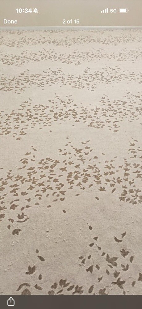 modern carpet - 3