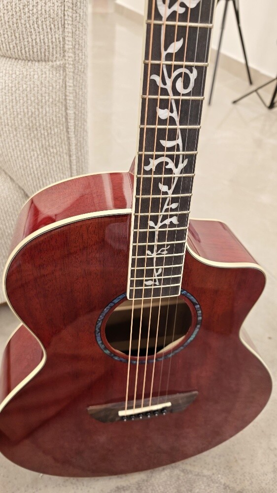 Acoustic Guitar - Rosewood - 2