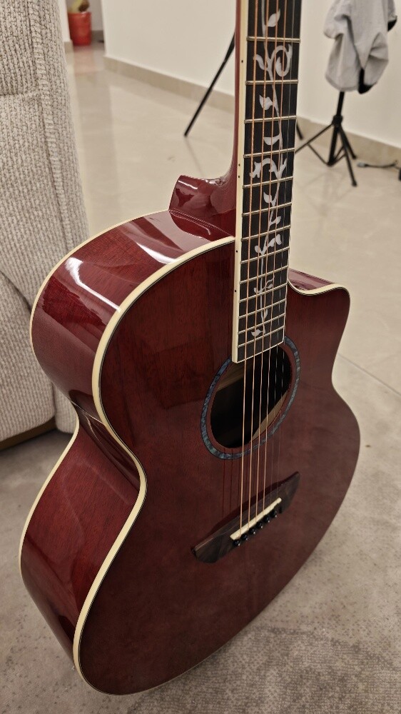 Acoustic Guitar - Rosewood - 5