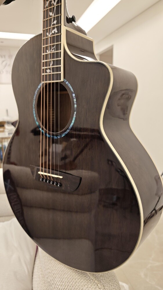 Acoustic Guitar - Rosewood - 8