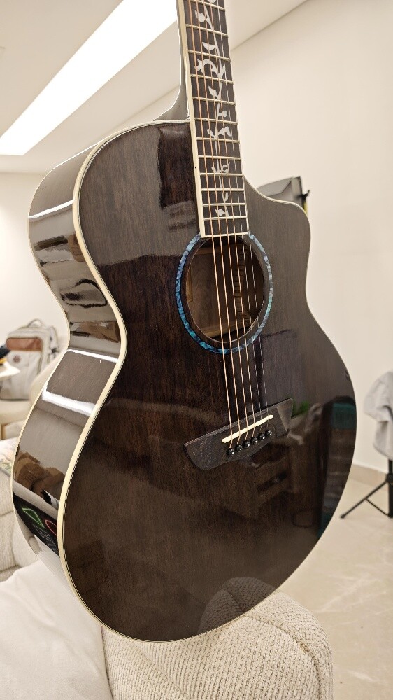 Acoustic Guitar - Rosewood - 6